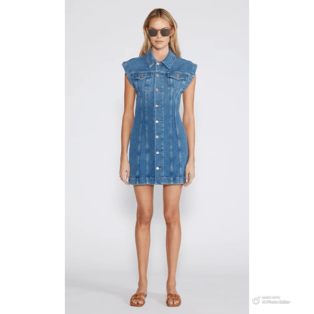 Etica Gabriela Seamed Dress in Cobra Size Small NWT Blue Jean Denim Mini Dress